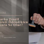 Marka Tescil Ücreti Ödendikten Sonra Ne Olur?